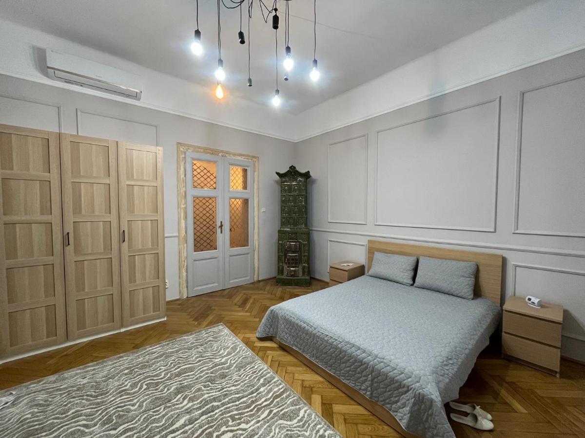 Barty Downtown Apart 2 Τιμισοάρα Εξωτερικό φωτογραφία